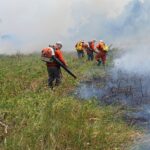 nhecolandia Combate aos incêndios no Pantanal