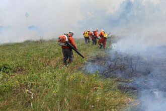 nhecolandia Combate aos incêndios no Pantanal