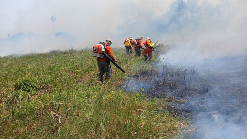 nhecolandia Combate aos incêndios no Pantanal