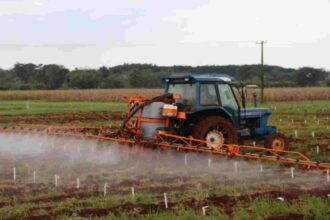 Ministério da Agricultura registra 51 novos defensivos agrícolas