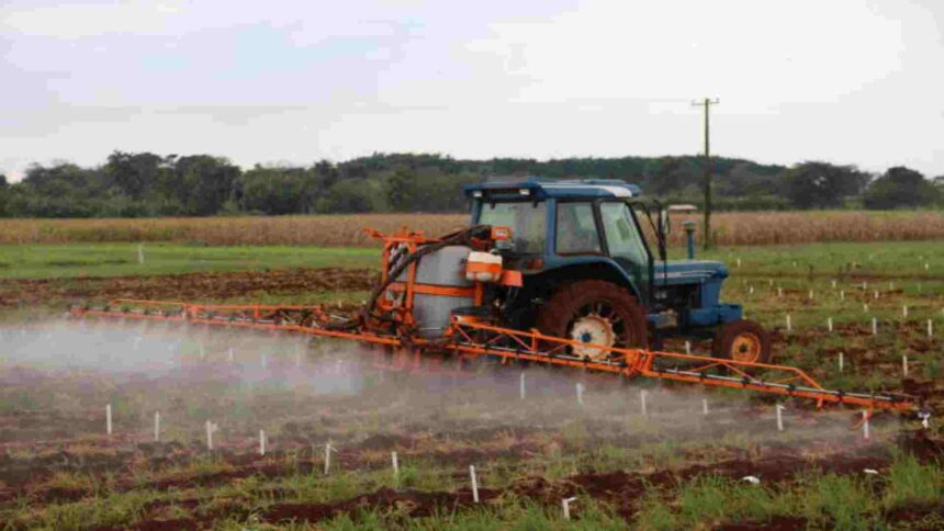 Ministério da Agricultura registra 51 novos defensivos agrícolas