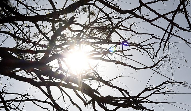 Temperaturas acima da média e tempo seco são destaques na previsão desta terça-feira