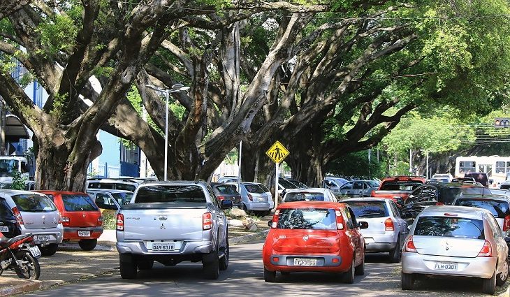 Maio amarelo começa com índice crescente de motoristas ao celular