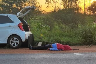 Motorista sai da pista colide em poste onde estavam abelhas, é atacado e desmaia