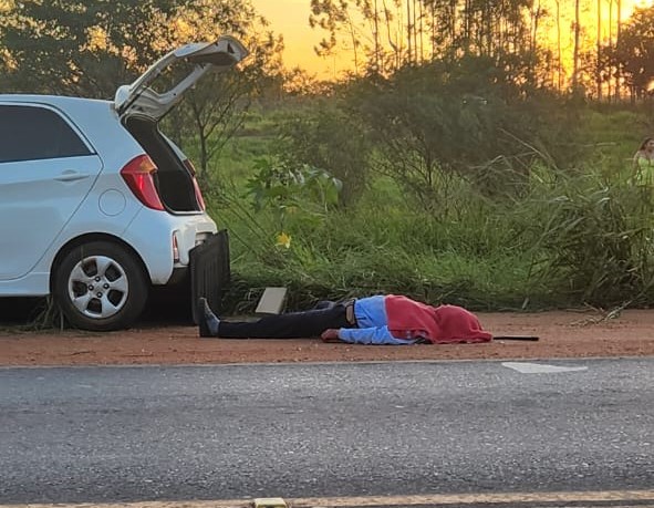 Motorista sai da pista colide em poste onde estavam abelhas, é atacado e desmaia