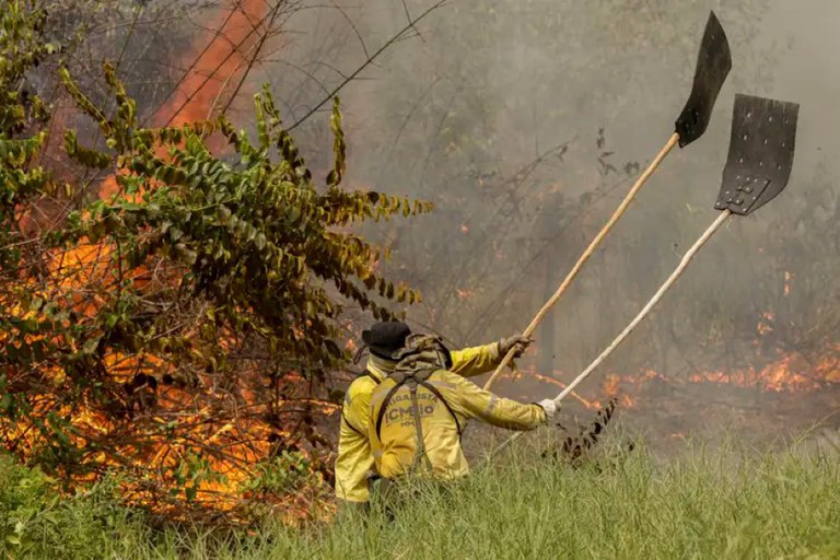 Combate a incêndios no Pantanal ganha reforço de 80 brigadistas da Força Nacional