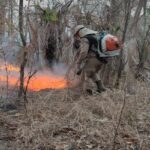 Ministério do Meio Ambiente declara Mato Grosso do Sul como estado de emergência ambiental