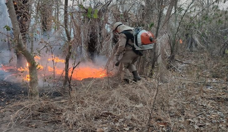 Ministério do Meio Ambiente declara Mato Grosso do Sul como estado de emergência ambiental