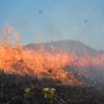 Mato Grosso do Sul tem recorde de queimadas e desmatamento