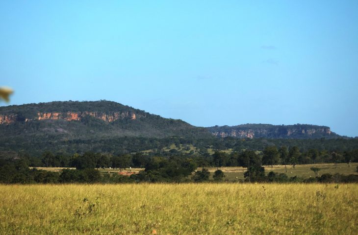 Sexta-feira tem previsão de tempo firme, com sol e baixa umidade do ar em MS