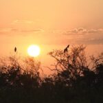 Agosto começará com “cara” de agosto: Ventania, tempo firme e calor intenso em MS