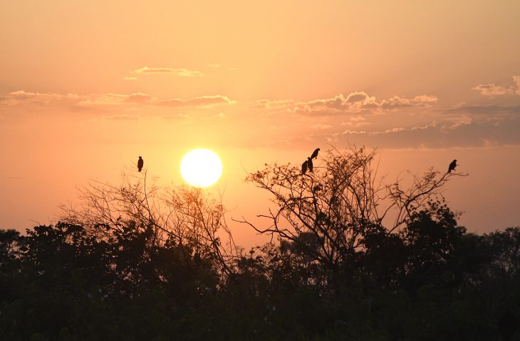 Agosto começará com “cara” de agosto: Ventania, tempo firme e calor intenso em MS