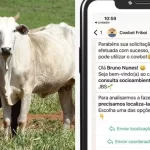 ‘Cowbot’: JBS lança ferramenta que amplia monitoramento socioambiental na cadeia da pecuária