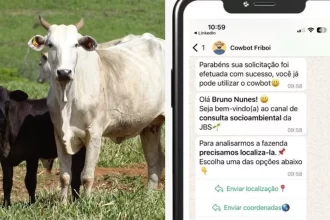 ‘Cowbot’: JBS lança ferramenta que amplia monitoramento socioambiental na cadeia da pecuária