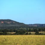 MS tem previsão de sol e baixa umidade relativa do ar nesta quarta-feira