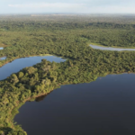 Projeto Piúva Rosa realiza evento de encerramento na cidade de Bonito