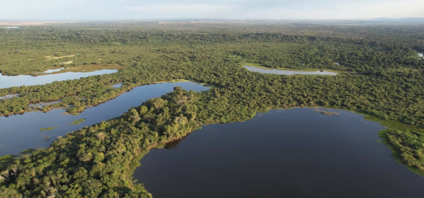 Projeto Piúva Rosa realiza evento de encerramento na cidade de Bonito