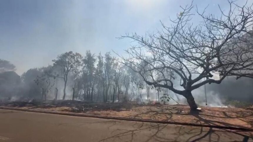 Terreno em chamas