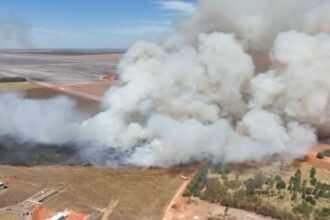 Chamas queimam área de loteamento do bairro, do tamanho equivalente a um campo de futebol. (Foto: Captura de tela/ Willian Tessaro)