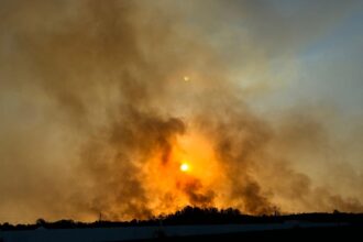 incendio manso