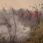 SECA INCENDIOS PANTANAL IHP 2 2