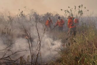 SECA INCENDIOS PANTANAL IHP 2 2