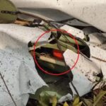 Foto mostra caixa-preta de avião em meio a destroços de avião que caiu em MT, circulada em vermelho.