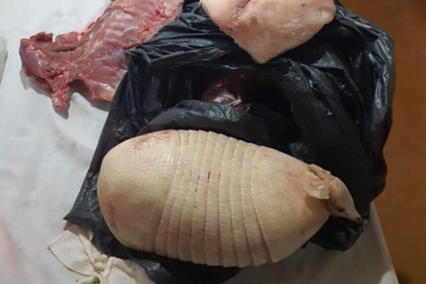 Homem é preso com quase 11 kg de pescado e carnes de animais silvestres em MT. (Foto: Reprodução)