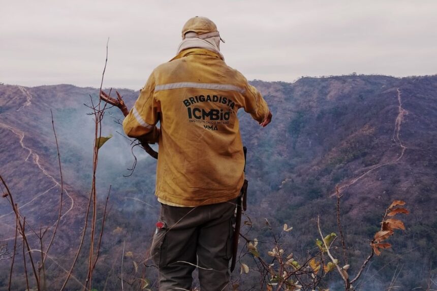 21 profissionais atuam no combate às chamas em duas regiões de Chapada. (Foto: ICMBio)