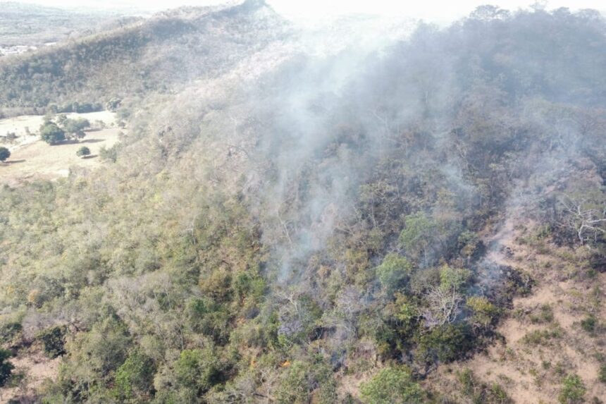 Incêndio na Fazenda Morro do Mano, em Primavera do Leste, dia 2 de agosto. (Foto: Ruan Gabriel/ TVCA)