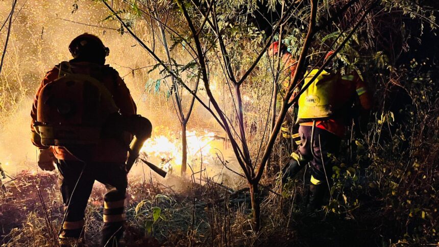 MS tem situação climática extrema e incêndios florestais em todos os biomas