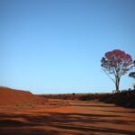 Com temperaturas acima da média e baixa umidade do ar, tempo permanece estável nesta terça-feira