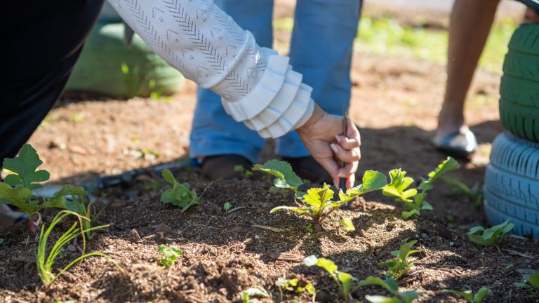 Prefeitura de Campo Grande orienta produtores para aderir ao Programa Terra Brasil