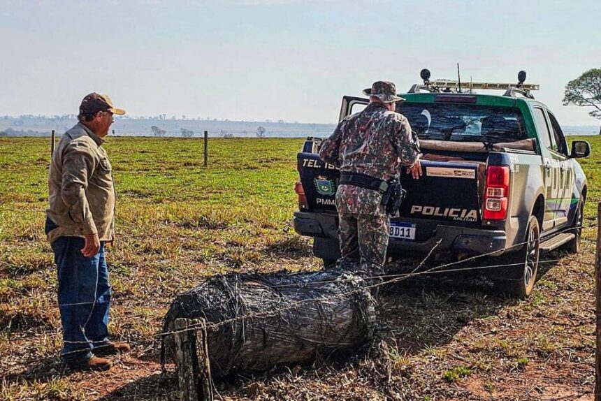 Objeto cilíndrico com capacidade de armazenar água ou gás caiu em fazenda de Naviraí