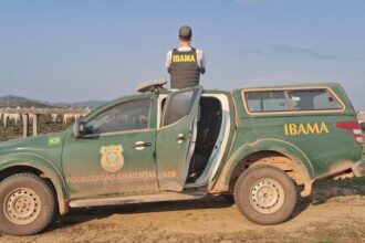 Operação identifica 23 frigoríficos comprando gado de áreas embargadas na Amazônia