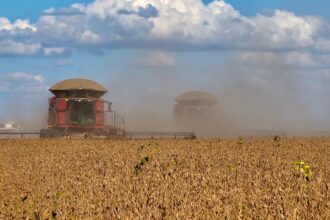 economia, pib do agro, agronegócio, bahia, soja, colheita, participação, agro