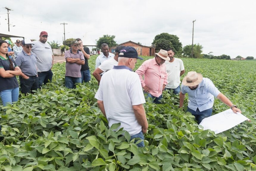 Demonstração de identificação de pragas a campo durante Giro Técnico em 2023. Arquivo IDR-Paraná