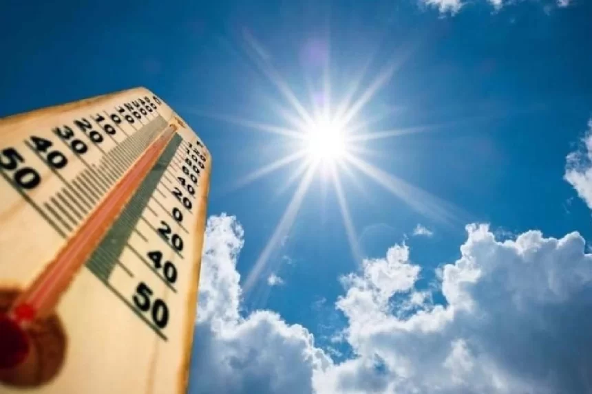 No momento, você está visualizando Estudo aponta MS na rota de até 9 ondas de calor extremo por ano