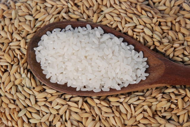 Arroz, alimentos