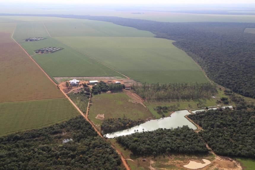 Fazenda Águas de Chapecó, em Nova Mutum (MT), imóveis rurais