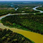 agronegócio, Pantanal, projeto