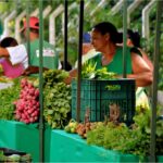 Feira Agroecológica destaca diversidade, sustentabilidade e protagonismo local