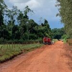 Homem foge da PRF, entra em mata, é atacado por abelhas e morre, em Nova Andradina