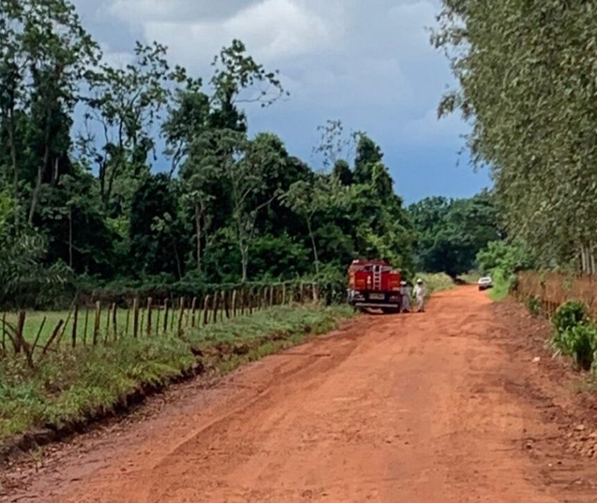 Homem foge da PRF, entra em mata, é atacado por abelhas e morre, em Nova Andradina