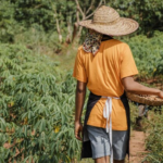 população rural é subestimado no Brasil