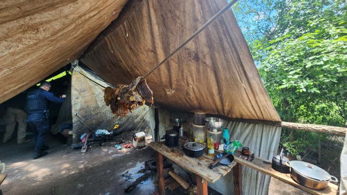 MPT-MS coordena coalizão para prevenir o trabalho escravo no campo