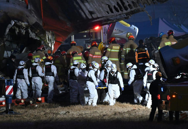 Mau tempo e colisão com pássaro causou explosão de avião na Coreia, afirmam autoridades