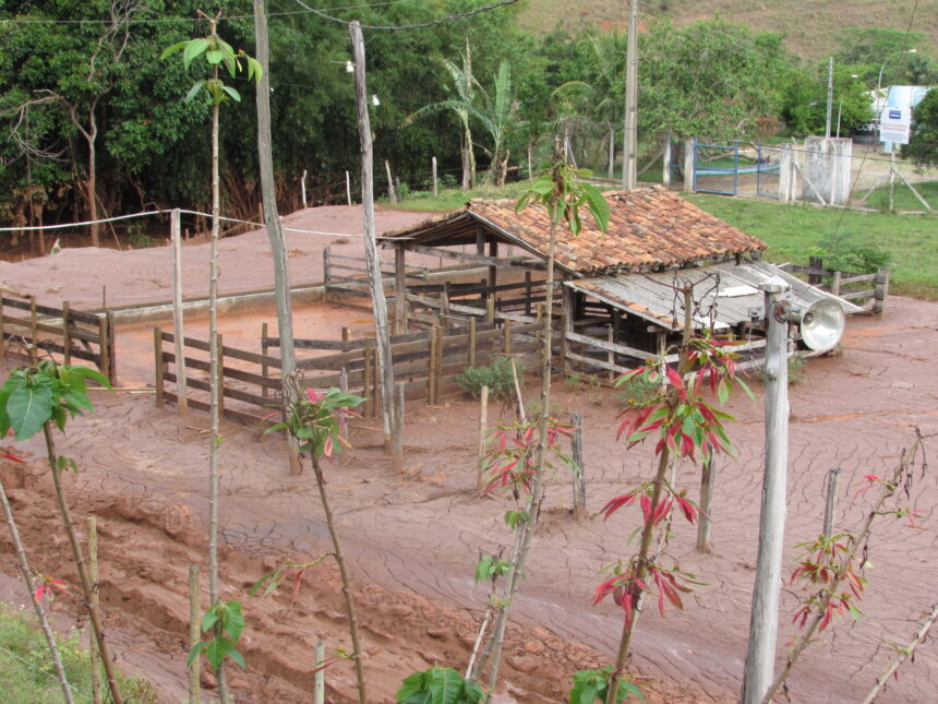 propriedade rural afetada MG, Programa de Recuperação