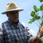 Produtor rural Zecão