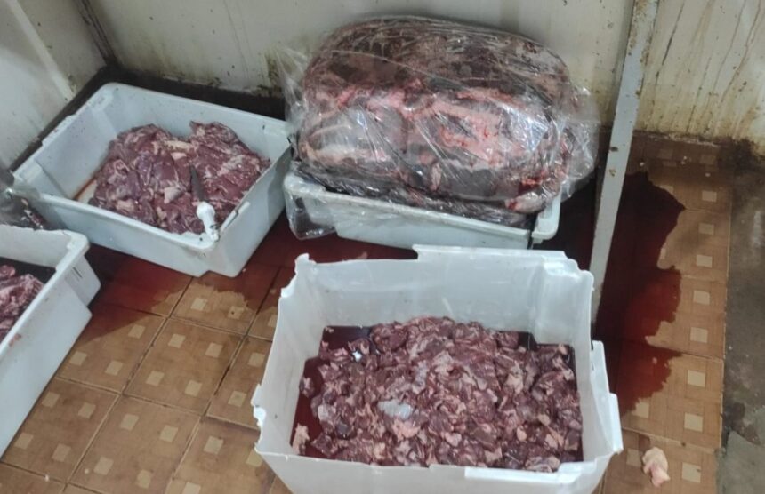 370 quilos de espetinho produzidos em local clandestino foram apreendidos (Foto: Divulgação)